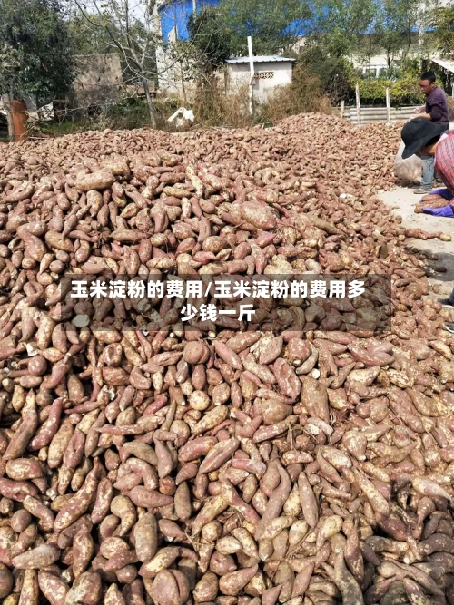 玉米淀粉的费用/玉米淀粉的费用多少钱一斤