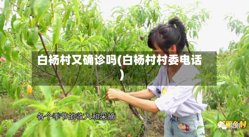 白杨村又确诊吗(白杨村村委电话)