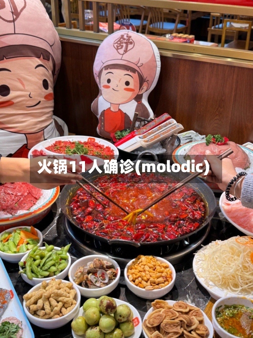 火锅11人确诊(molodic)