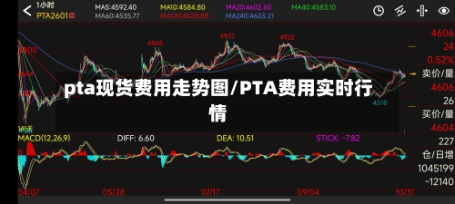 pta现货费用走势图/PTA费用实时行情