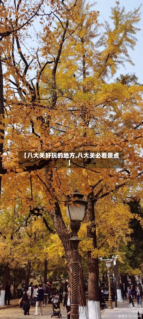 【八大关好玩的地方,八大关必看景点】