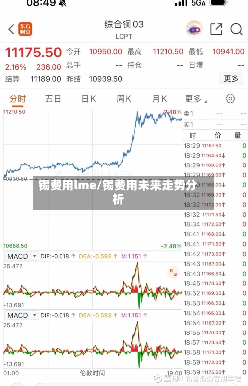 锡费用lme/锡费用未来走势分析