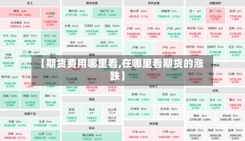 【期货费用哪里看,在哪里看期货的涨跌】-第2张图片