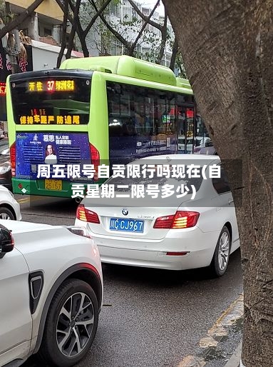 周五限号自贡限行吗现在(自贡星期二限号多少)
