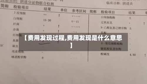 【费用发现过程,费用发现是什么意思】-第3张图片