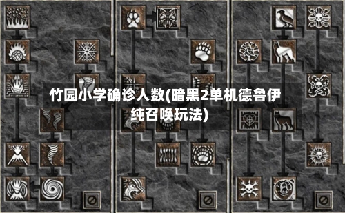 竹园小学确诊人数(暗黑2单机德鲁伊纯召唤玩法)-第2张图片