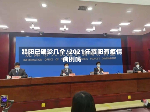 濮阳已确诊几个/2021年濮阳有疫情病例吗-第3张图片