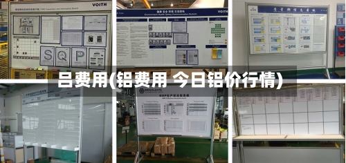 吕费用(铝费用 今日铝价行情)