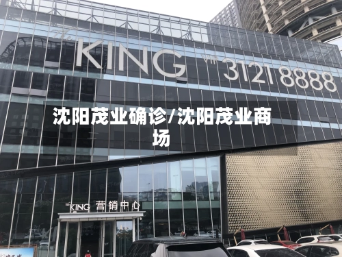 沈阳茂业确诊/沈阳茂业商场-第2张图片