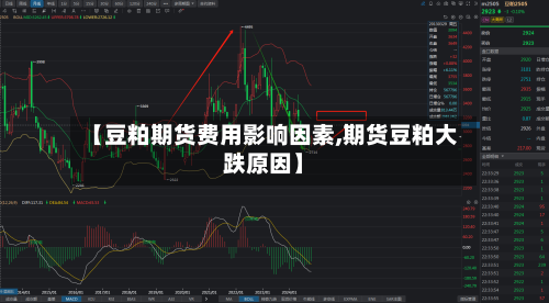 【豆粕期货费用影响因素,期货豆粕大跌原因】