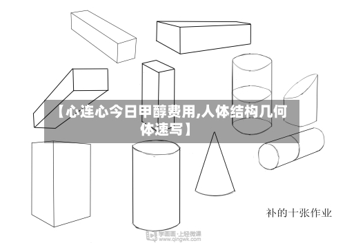 【心连心今日甲醇费用,人体结构几何体速写】-第2张图片