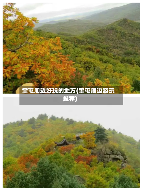 奎屯周边好玩的地方(奎屯周边游玩推荐)