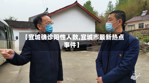 【宜城确诊阳性人数,宜城市最新热点事件】