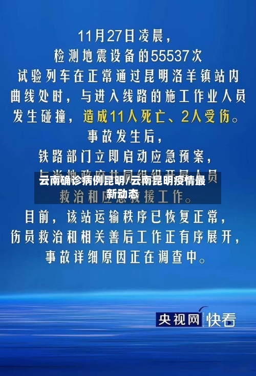 云南确诊病例昆明/云南昆明疫情最新动态-第2张图片