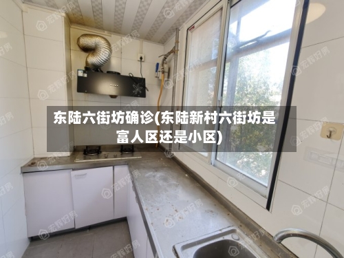 东陆六街坊确诊(东陆新村六街坊是富人区还是小区)-第3张图片