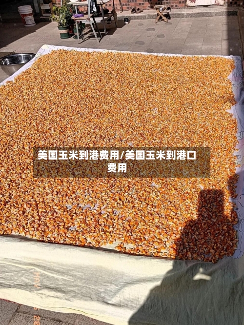 美国玉米到港费用/美国玉米到港口费用-第2张图片