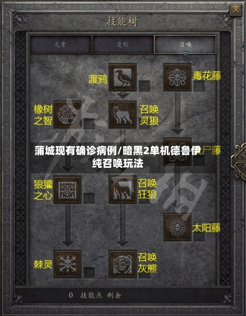 蒲城现有确诊病例/暗黑2单机德鲁伊纯召唤玩法