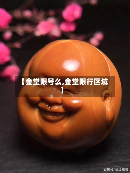 【金堂限号么,金堂限行区域】