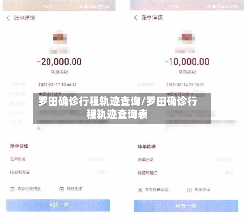 罗田确诊行程轨迹查询/罗田确诊行程轨迹查询表