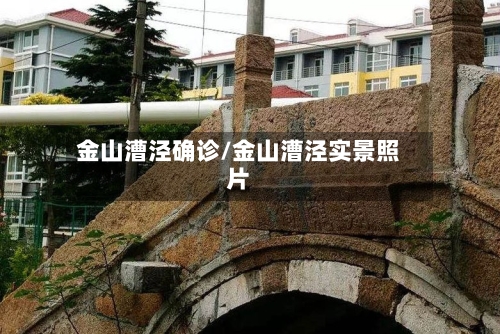 金山漕泾确诊/金山漕泾实景照片-第2张图片