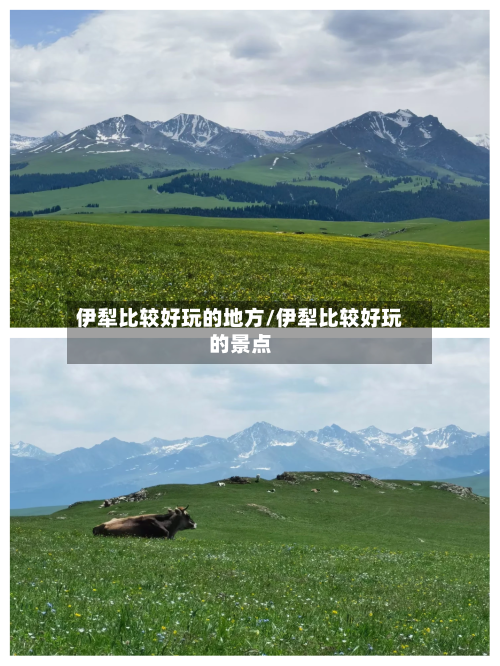 伊犁比较好玩的地方/伊犁比较好玩的景点-第2张图片