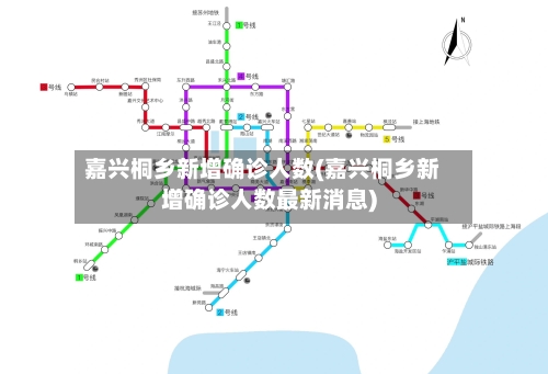嘉兴桐乡新增确诊人数(嘉兴桐乡新增确诊人数最新消息)