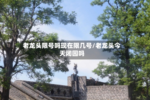 老龙头限号吗现在限几号/老龙头今天闭园吗-第2张图片