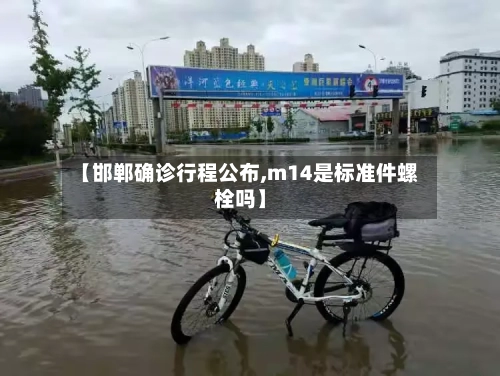【邯郸确诊行程公布,m14是标准件螺栓吗】-第3张图片