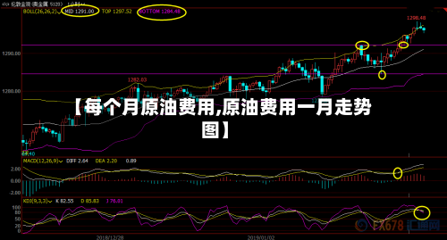 【每个月原油费用,原油费用一月走势图】-第2张图片