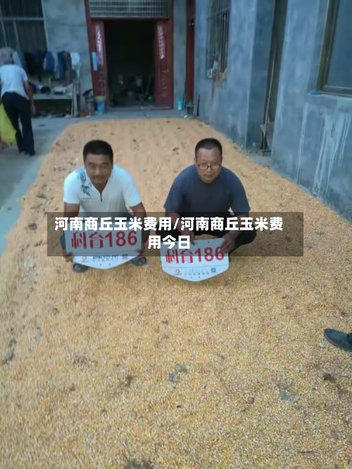 河南商丘玉米费用/河南商丘玉米费用今日-第2张图片