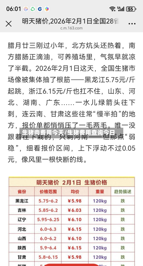 生猪肉费用今天/生猪费用查询今日-第2张图片