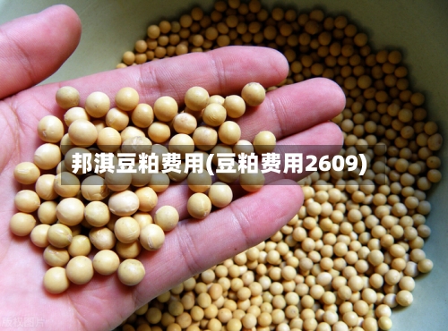 邦淇豆粕费用(豆粕费用2609)