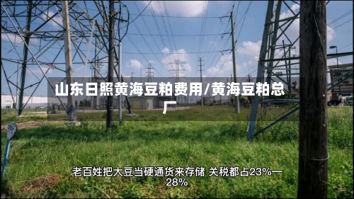 山东日照黄海豆粕费用/黄海豆粕总厂-第2张图片