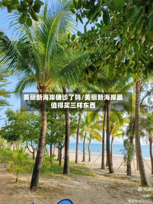 美丽新海岸确诊了吗/美丽新海岸最值得买三样东西-第2张图片