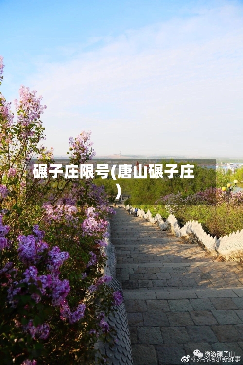 碾子庄限号(唐山碾子庄)