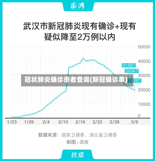 冠状肺炎确诊患者查询(新冠确诊单)-第3张图片