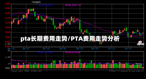 pta长期费用走势/PTA费用走势分析