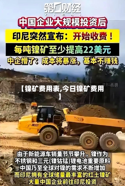 【镍矿费用表,今日镍矿费用】-第2张图片
