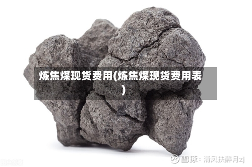 炼焦煤现货费用(炼焦煤现货费用表)