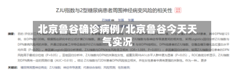 北京鲁谷确诊病例/北京鲁谷今天天气实况-第3张图片
