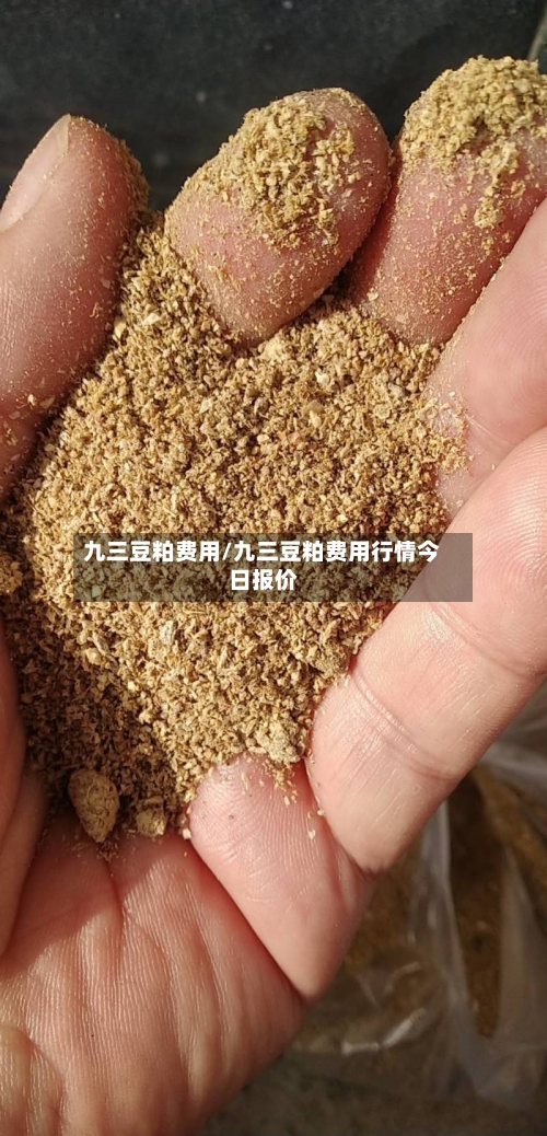 九三豆粕费用/九三豆粕费用行情今日报价