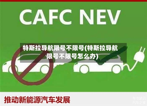 特斯拉导航限号不限号(特斯拉导航限号不限号怎么办)-第3张图片