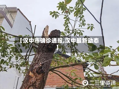 【汉中市确诊通报,汉中最新动态】-第2张图片