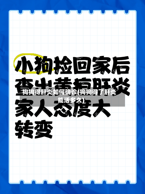 狗狗得肝炎如何确诊(狗狗得了肝炎能活多久)-第2张图片