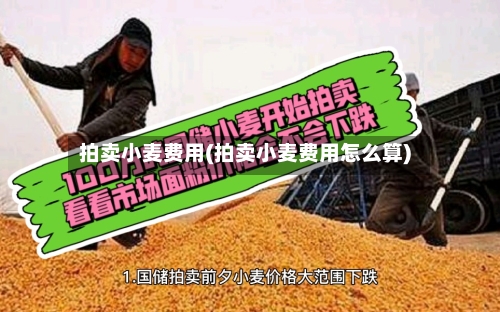 拍卖小麦费用(拍卖小麦费用怎么算)