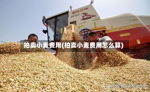 拍卖小麦费用(拍卖小麦费用怎么算)-第3张图片