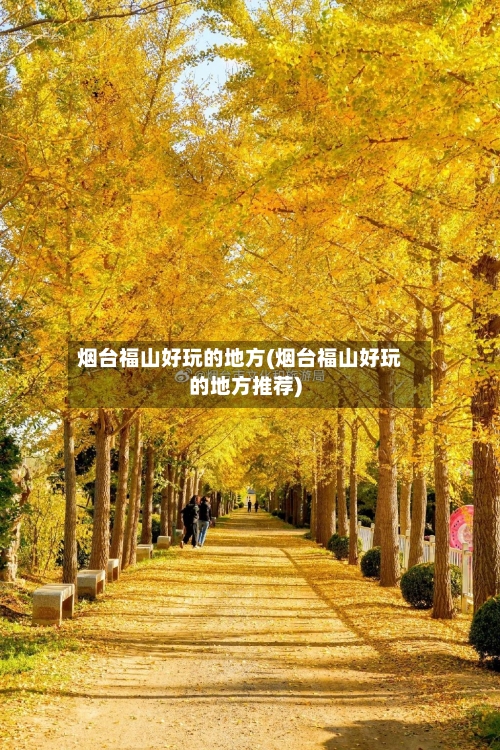 烟台福山好玩的地方(烟台福山好玩的地方推荐)