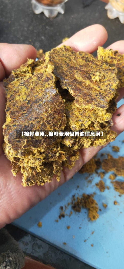 【棉籽费用.,棉籽费用饲料油信息网】