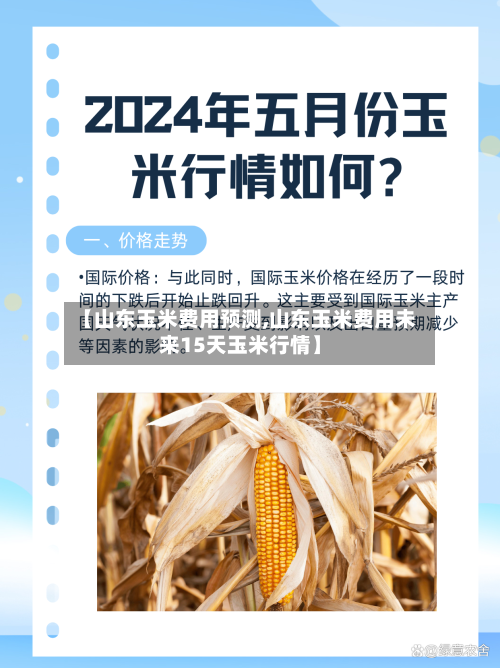 【山东玉米费用预测,山东玉米费用未来15天玉米行情】