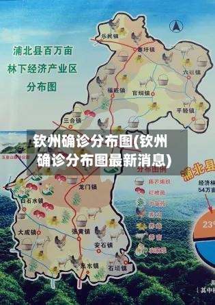 钦州确诊分布图(钦州确诊分布图最新消息)